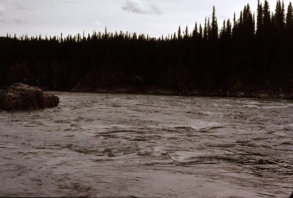 1974lr1-054_21451173316_l.jpg