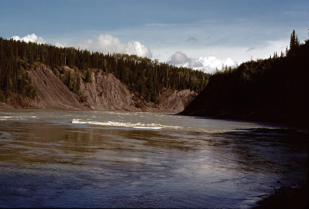 1974lr3-016_21485415921_l.jpg