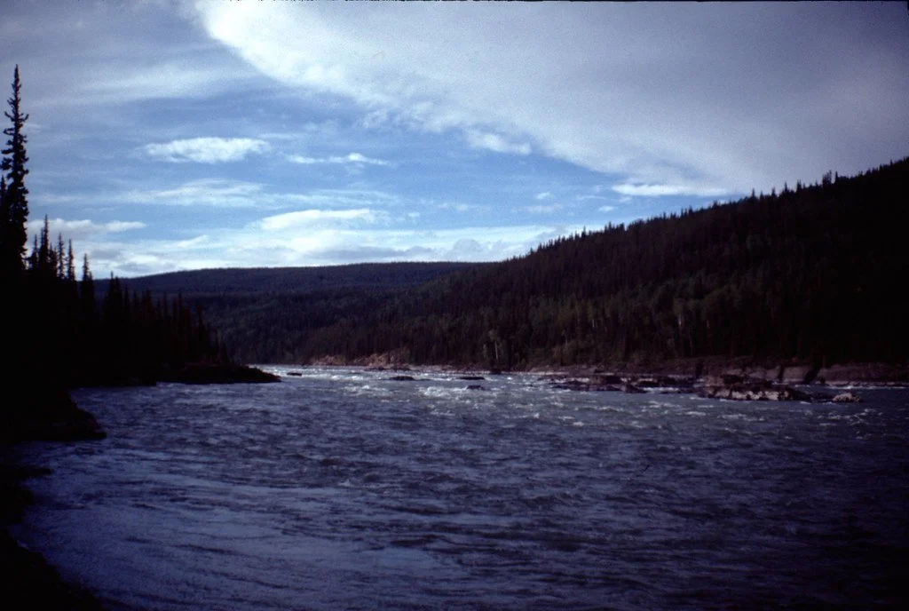 1974lr2-004_21284645669_l.jpg
