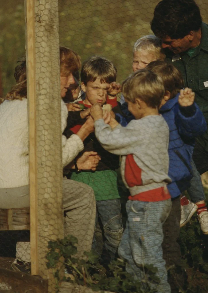 1987--587787---77_20407692743_l.jpg