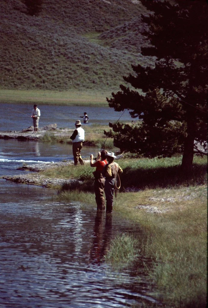 19761-008_21286927889_l.jpg