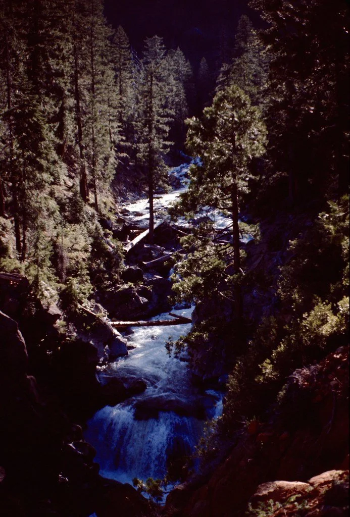 1970-camping-039_21273076586_l.jpg