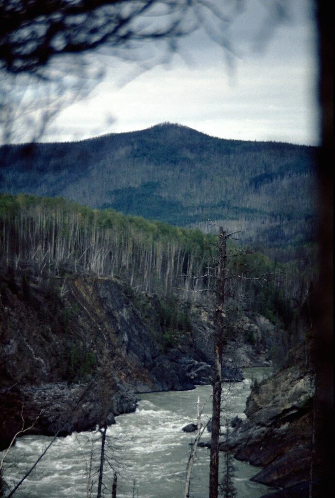 1974lr2-062_21289110980_l.jpg