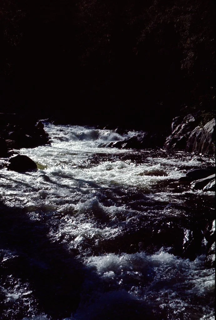 1970-camping-037_21111468328_l.jpg