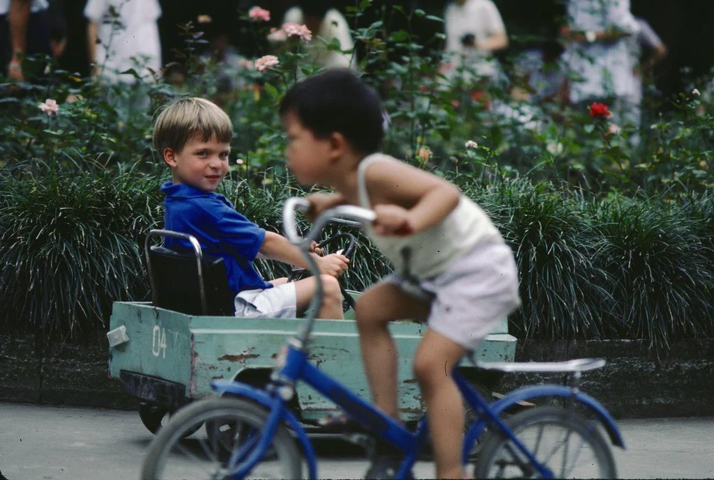 1986--686-786-102_20394592103_l.jpg