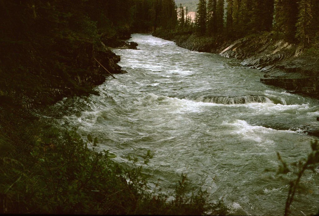 1974lr1-063_20854699284_l.jpg