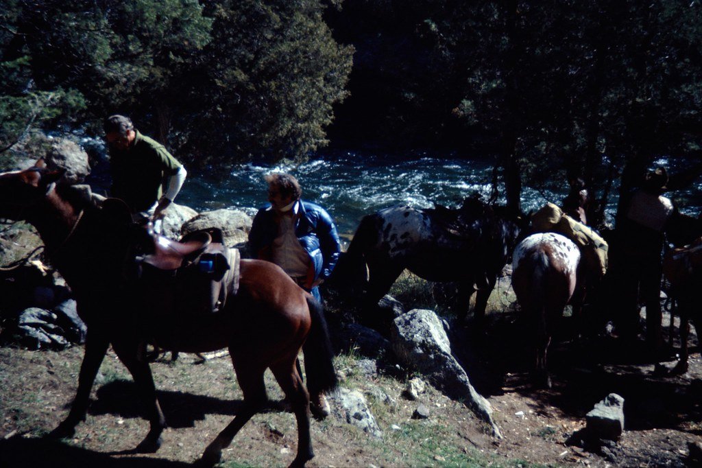 19732-018_21452517376_l.jpg