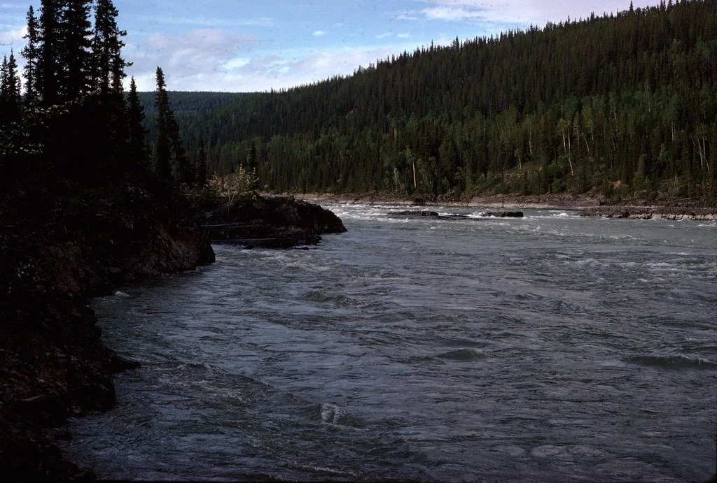 1974lr1-073_21289370850_l.jpg
