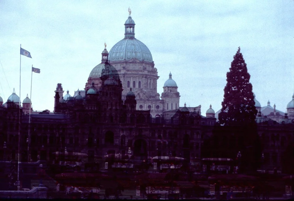 19761-076_21473888605_l.jpg