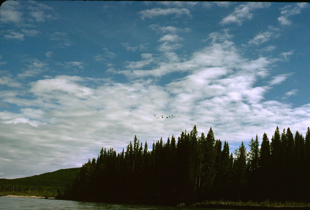 1974lr1-045_20854683584_l.jpg