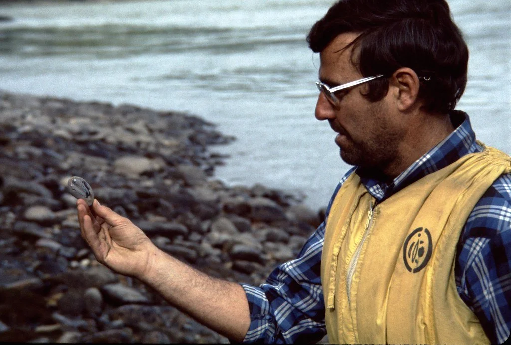 1974lr3-005_21288988088_l.jpg