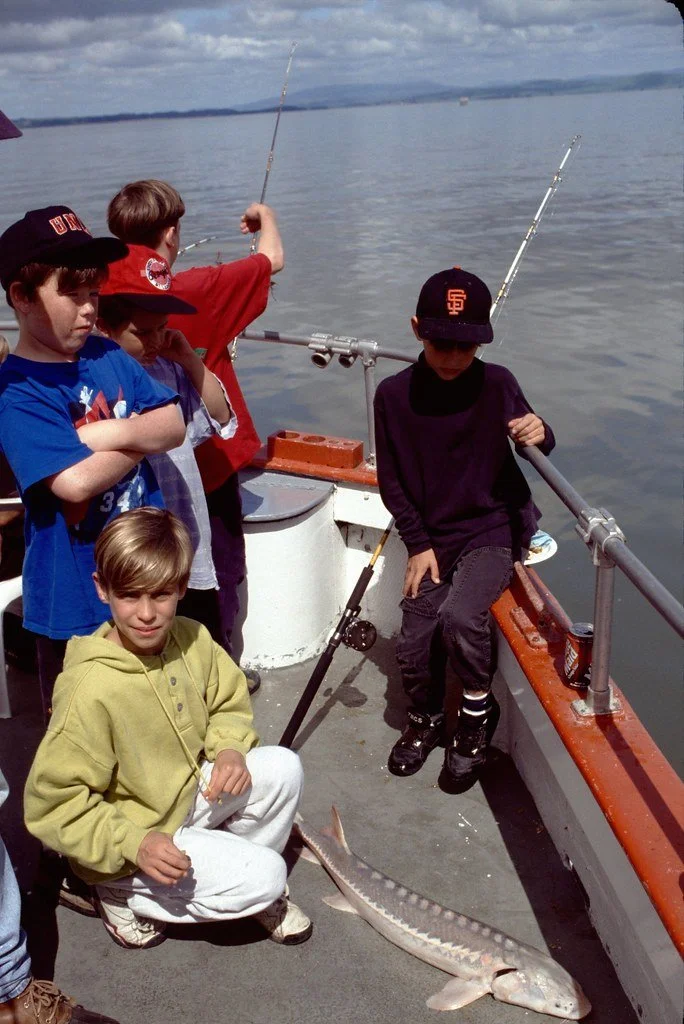 1992327--46_21194204885_l.jpg
