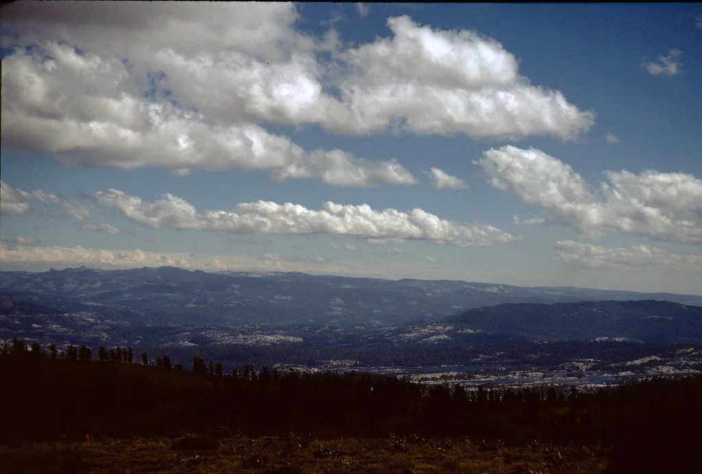 19711--84_21116742559_l.jpg