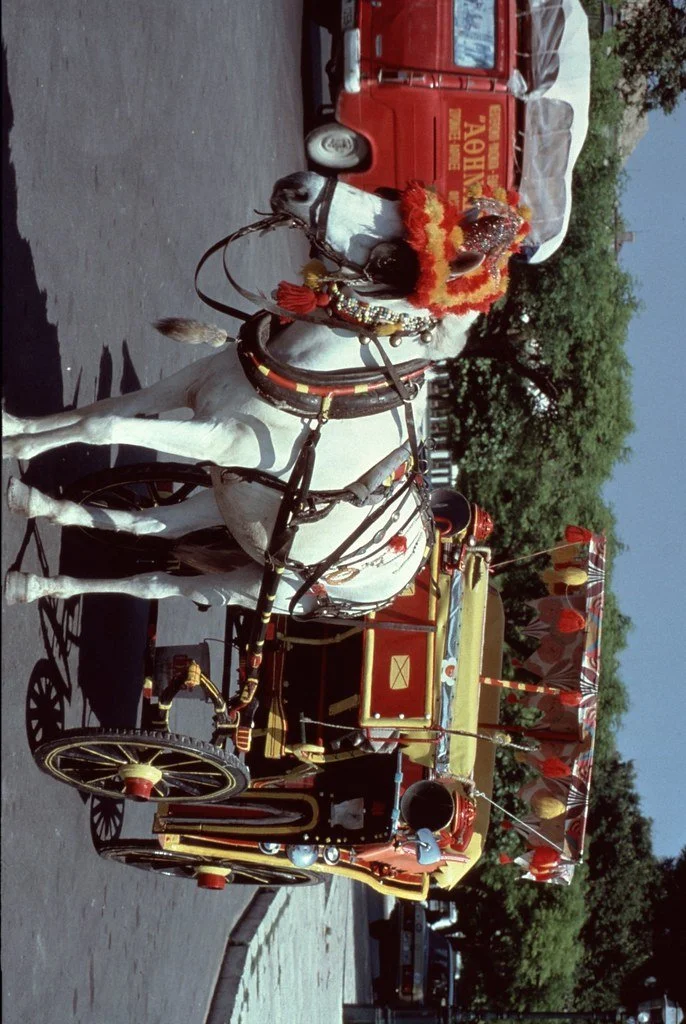 1978g1--101_20896558254_l.jpg