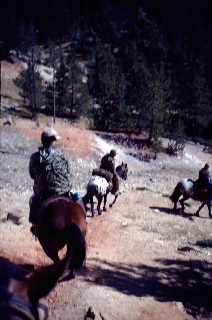 19732-017_21290923978_l.jpg