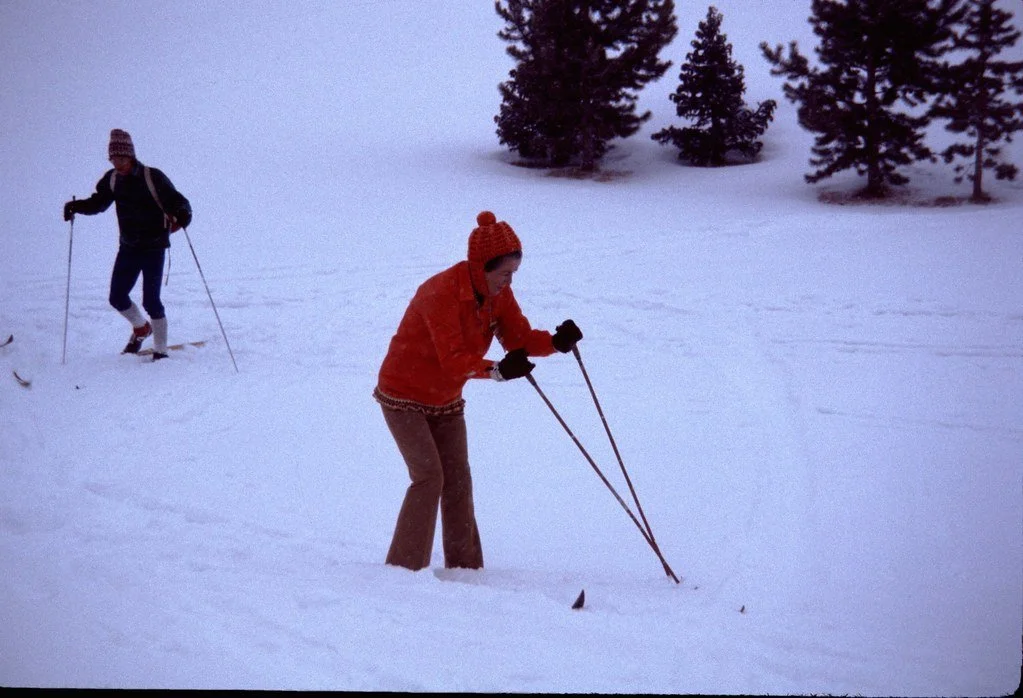 1972-007_21292314459_l.jpg