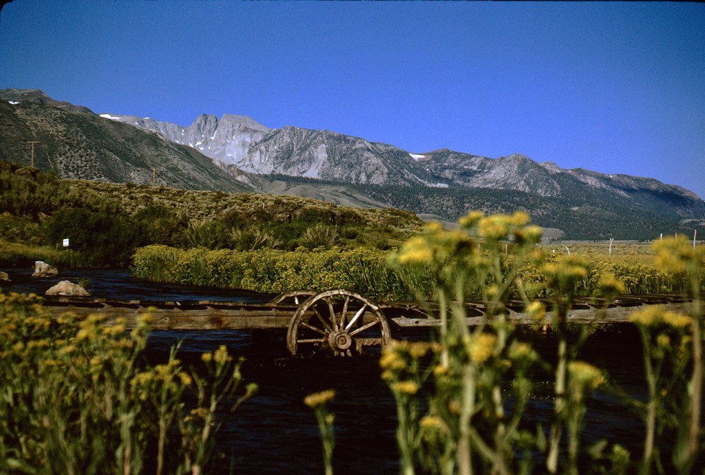 1974hc1-020_21477601065_l.jpg