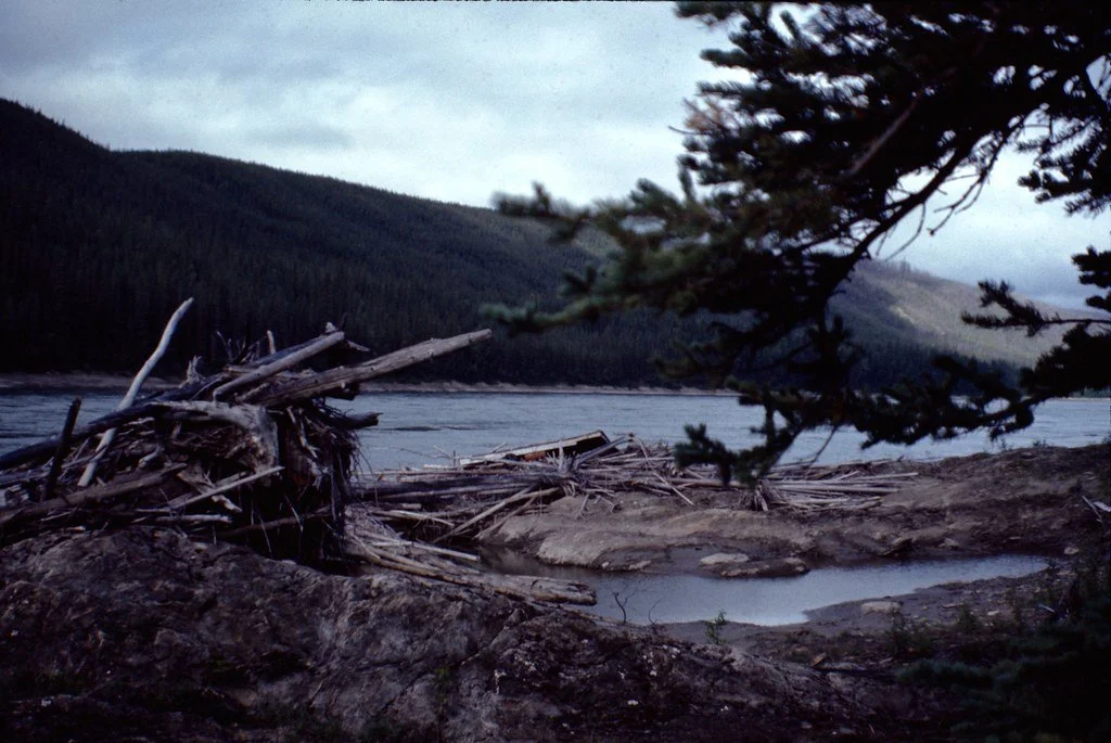 1974lr2-019_21477106935_l.jpg