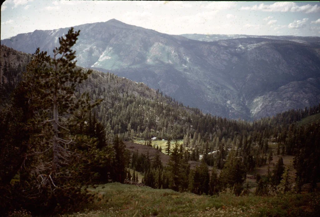 19711--87_21311775051_l.jpg