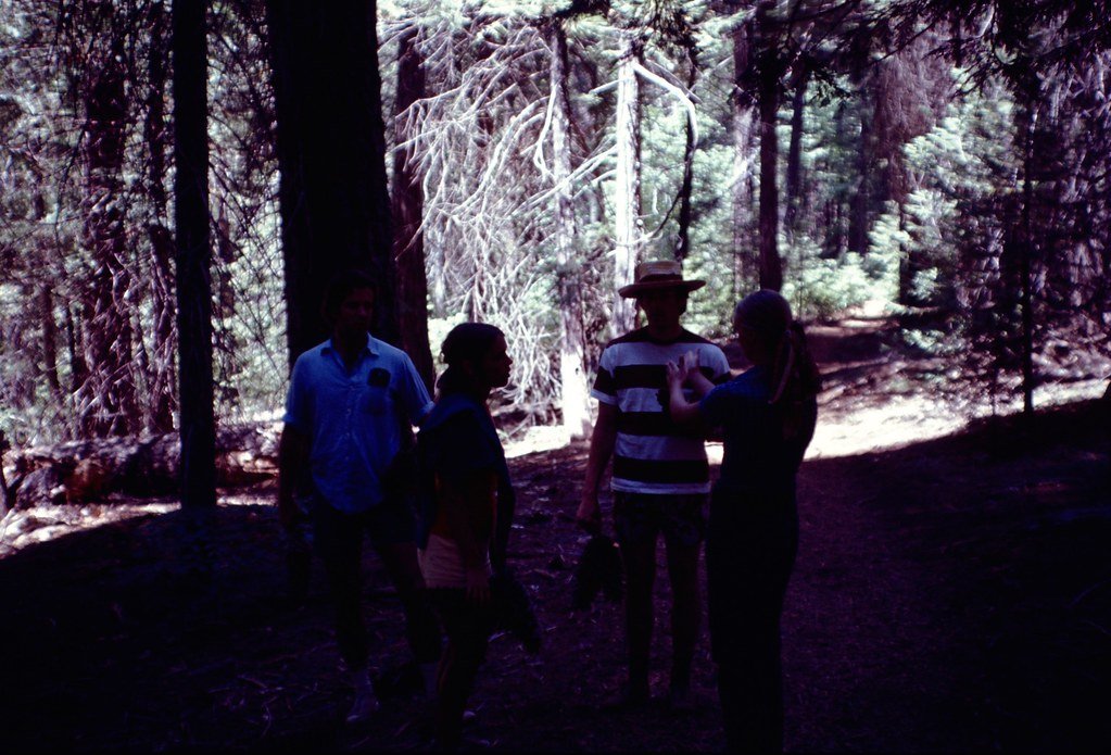 19712-078_20858505913_l.jpg