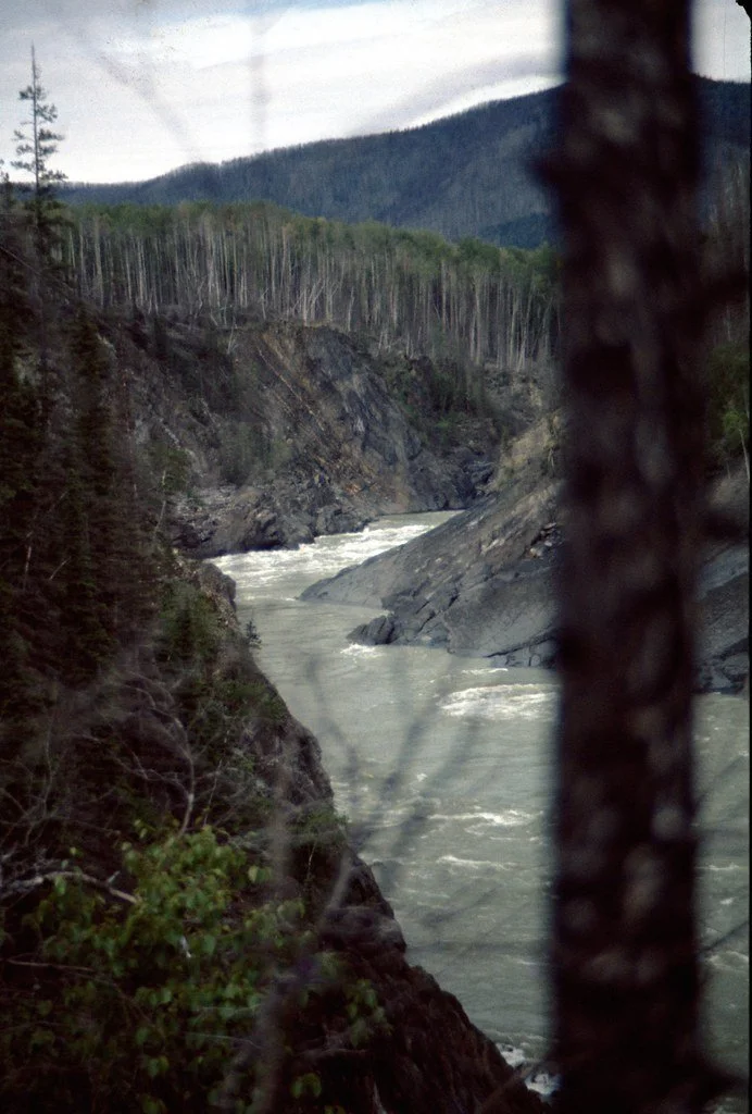 1974lr3-006_21450580396_l.jpg