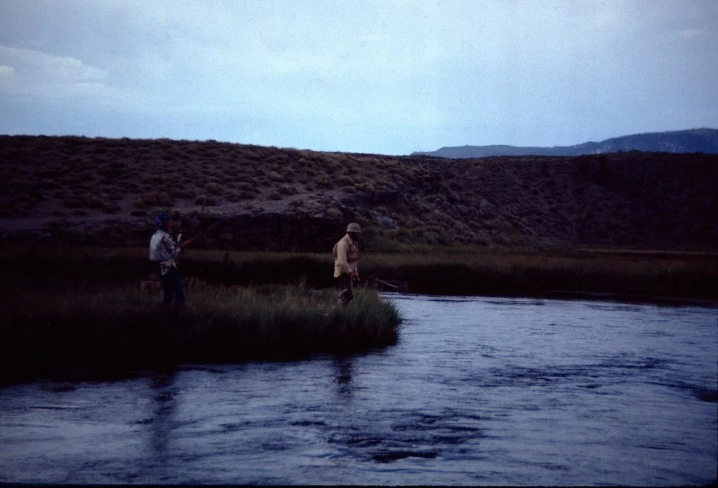 1974hc1-055_21289821538_l.jpg