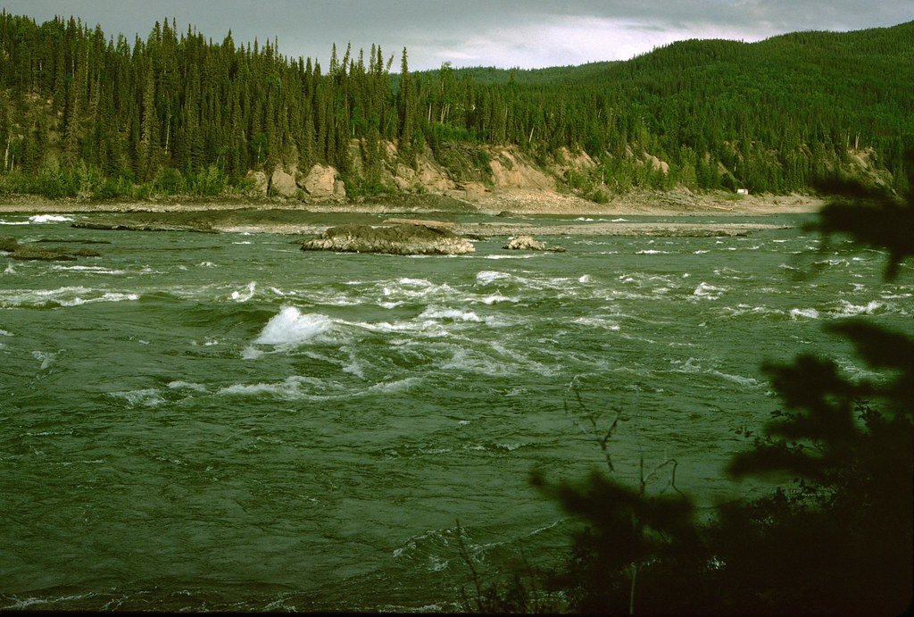 1974lr1-064_21290503319_l.jpg