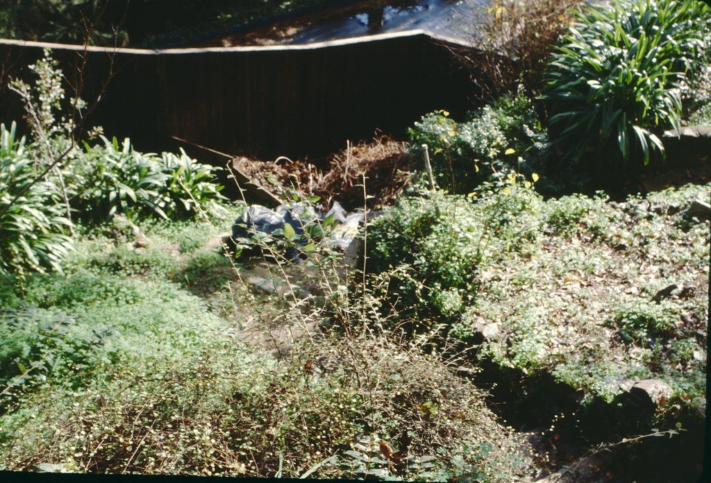 1980--680980--1_20402451724_l.jpg