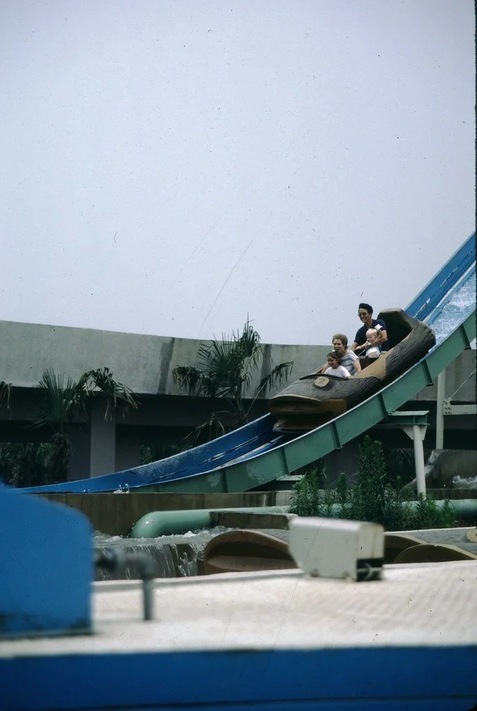 1986--686-786-144_20827841848_l.jpg