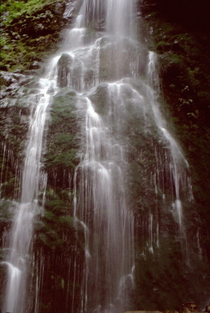 060_20932995908_l.jpg