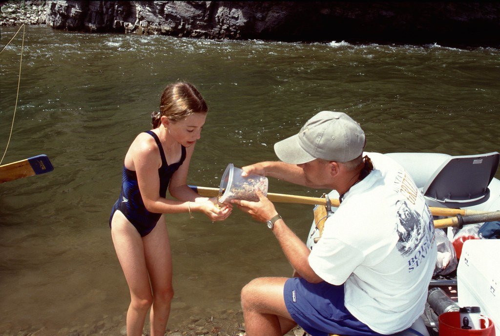 199718--100_21605142940_l.jpg