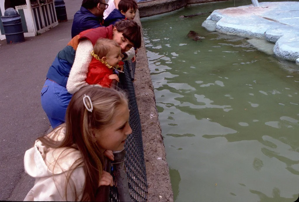 1981--681881--6_20858527510_l.jpg