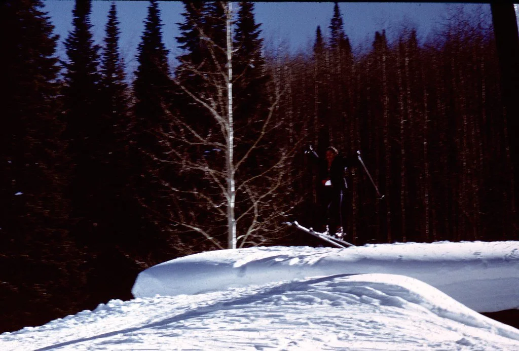 19711--17_20682431553_l.jpg