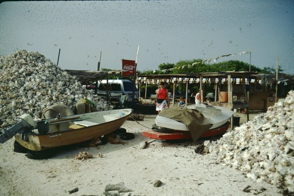 1992--692892--109_20419262554_l.jpg