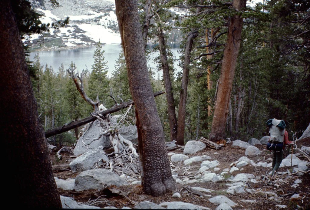 1970-camping-058_20676677804_l.jpg