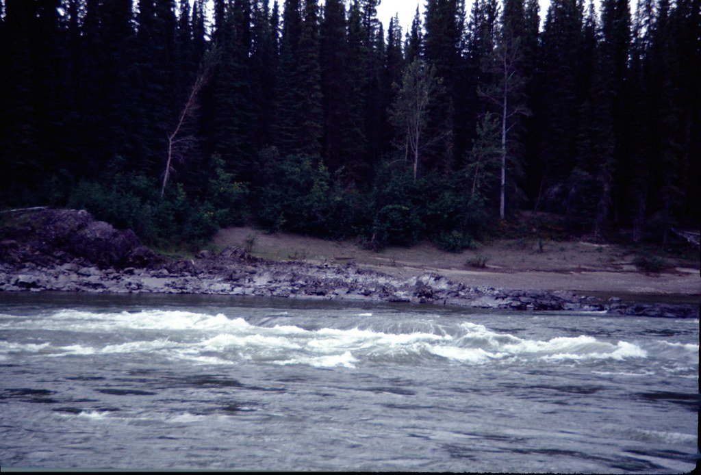 1974lr1-076_21451193256_l.jpg