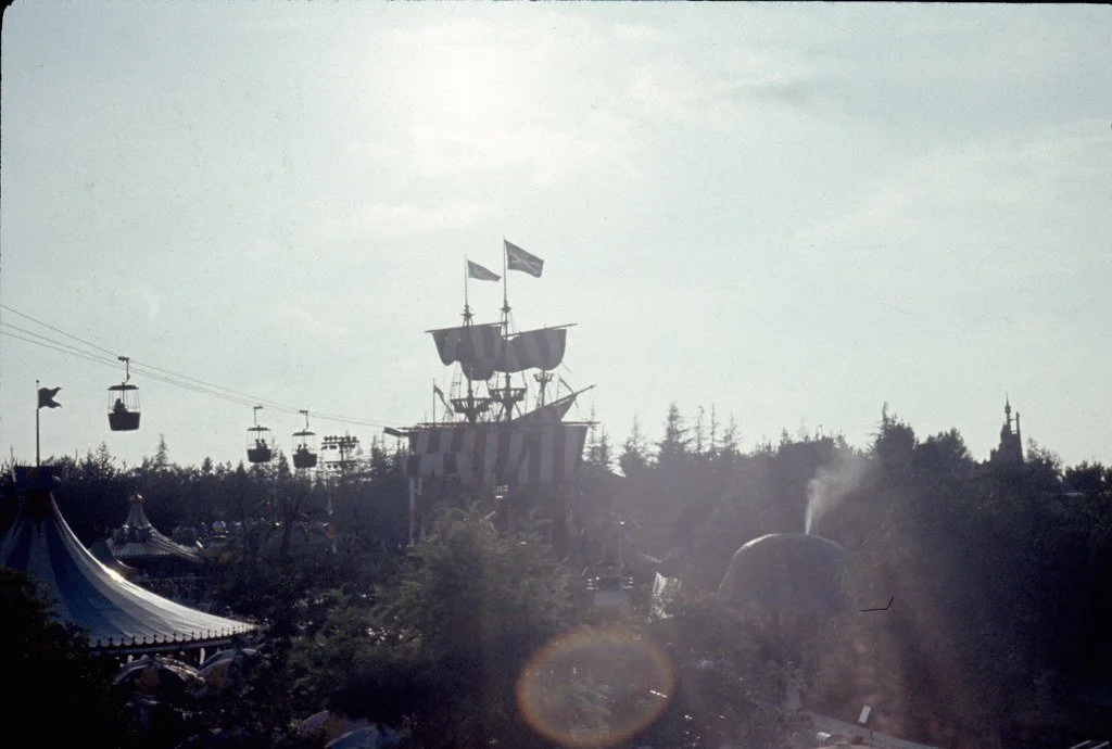 19712-061_20858490543_l.jpg