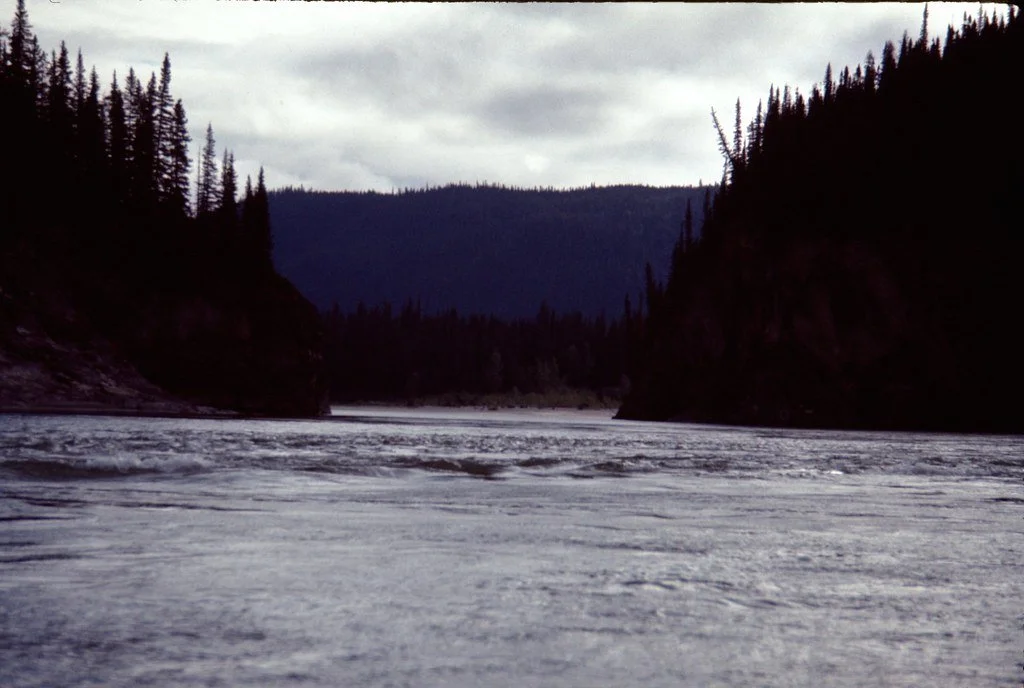 1974lr2-076_21289124750_l.jpg