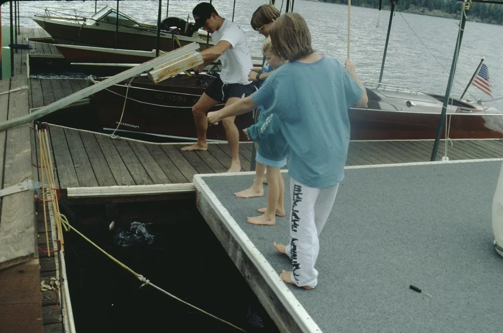 1992--692892--100_20855075959_l.jpg