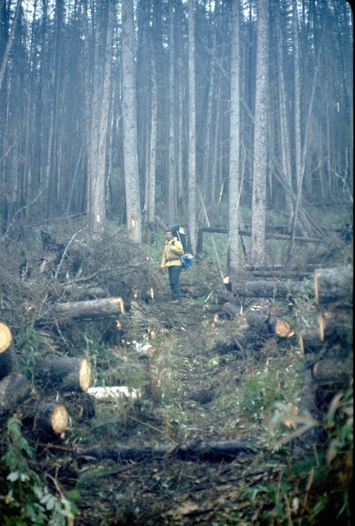 1974lr2-054_21289332998_l.jpg