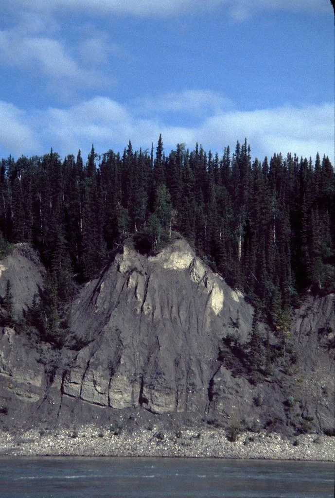 1974lr3-007_21450581276_l.jpg