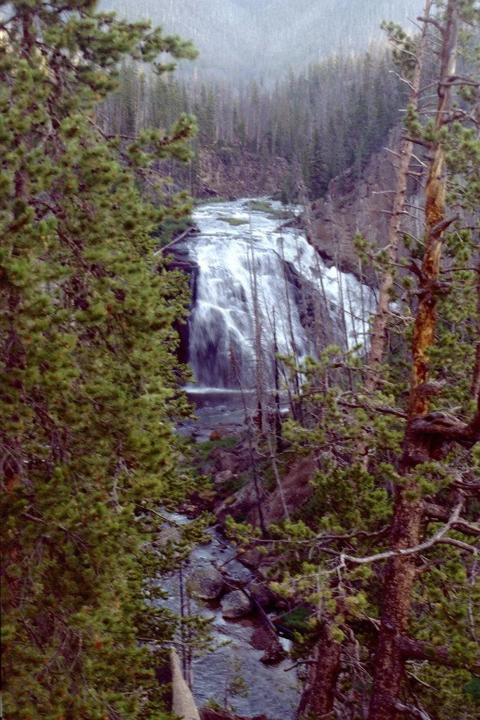 199378-136_20570847424_l.jpg