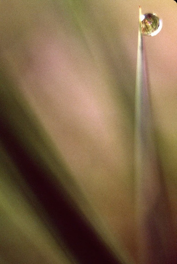 1982--182682--77_20858996719_l.jpg