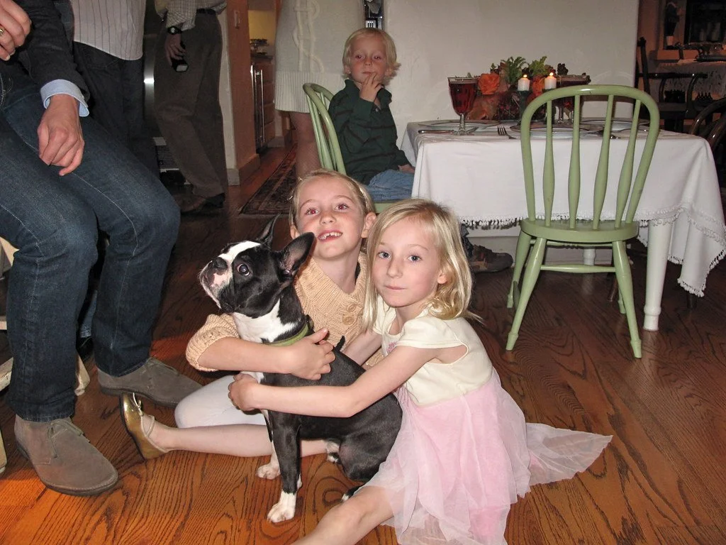 img_0531_24489377177_l.jpg