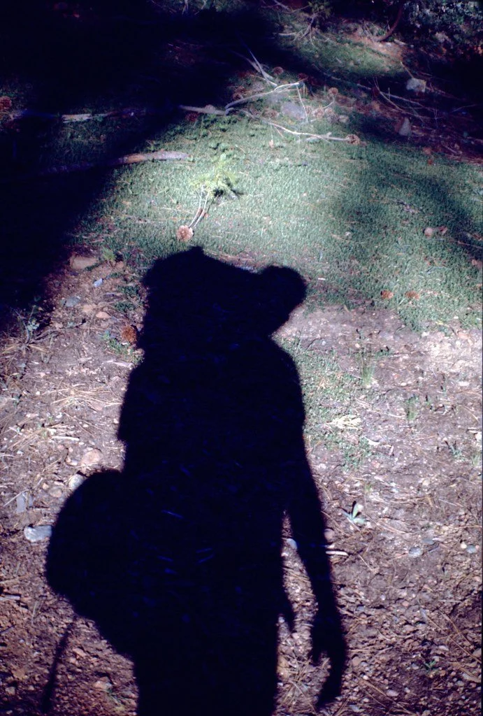 1970-camping-040_21111251480_l.jpg