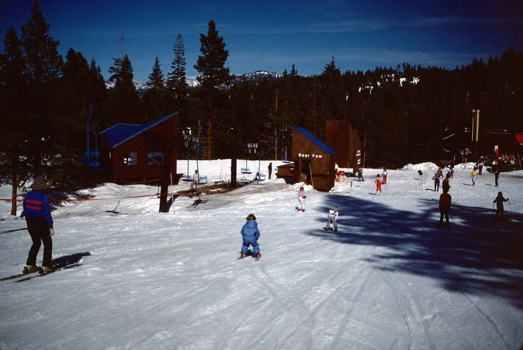 198546-008_20944618590_l.jpg