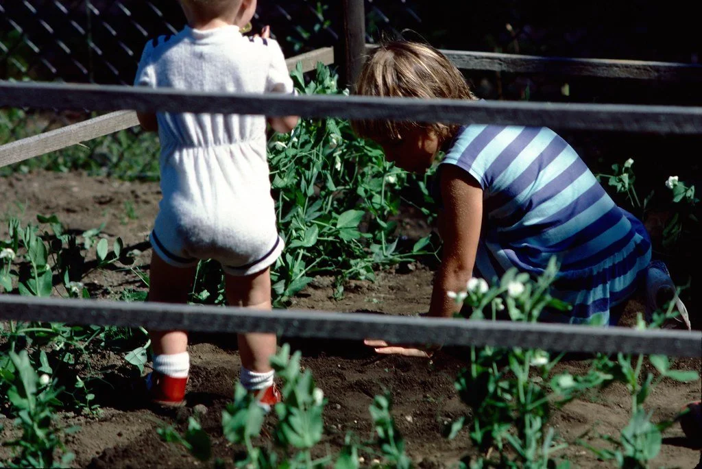 198546-100_21106617536_l.jpg