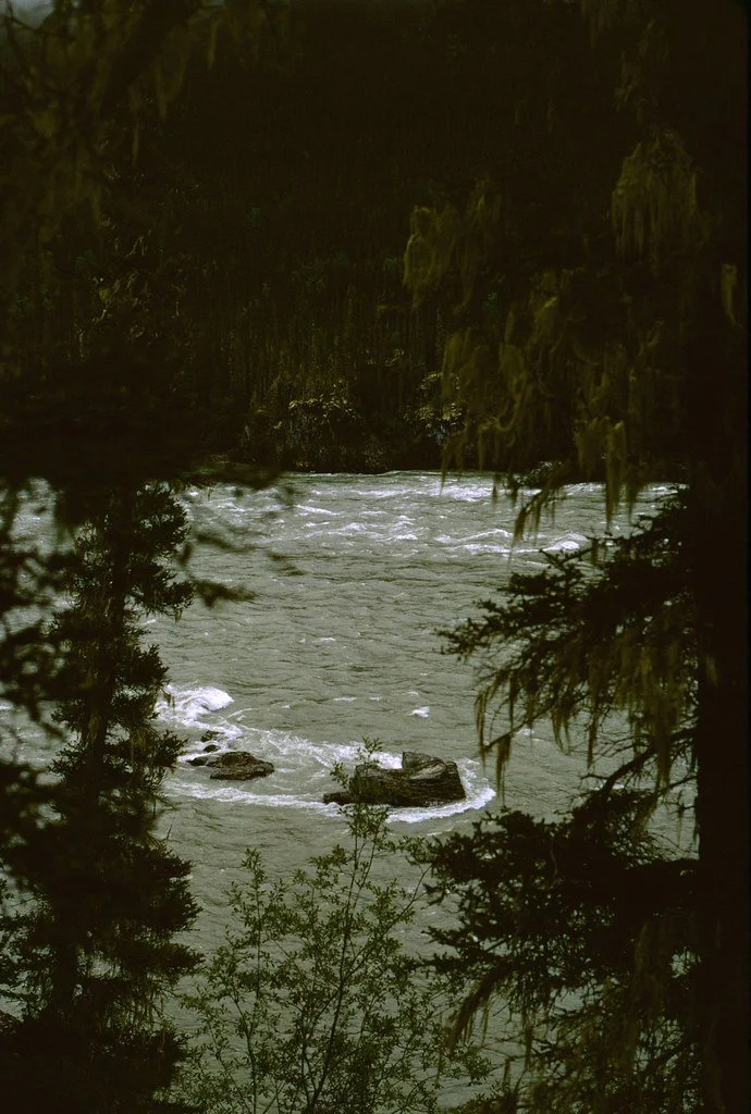 1974lr2-028_20854418344_l.jpg