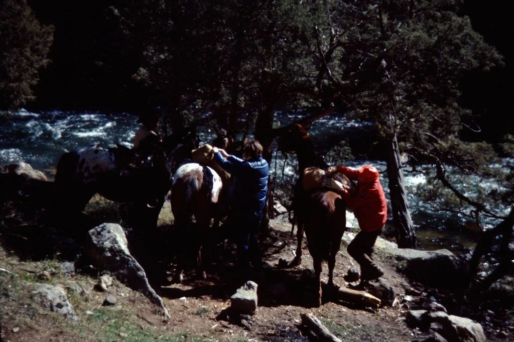 19732-019_21467715682_l.jpg