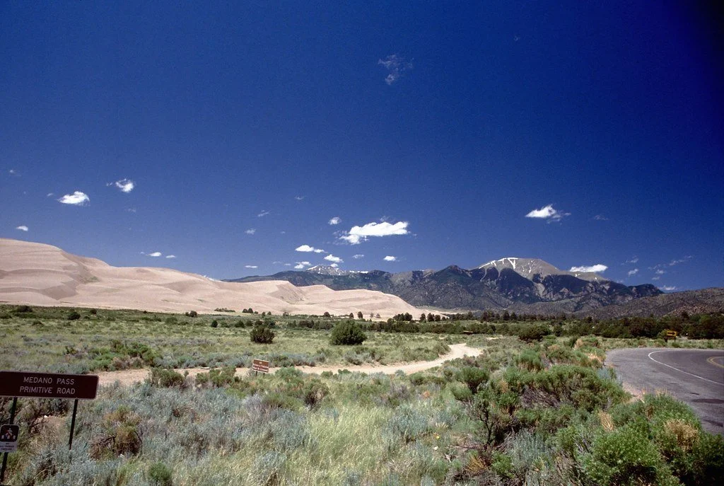199378-009_21004578278_l.jpg